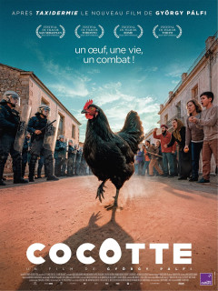 Affiche de Cocotte