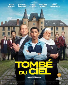 Affiche de Tombé du ciel