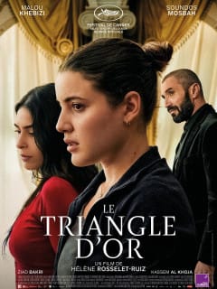Affiche de Le Triangle d'or