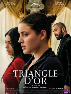Affiche de Le Triangle d'or